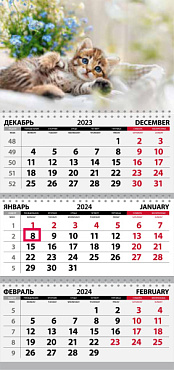 Календарь Квартальный Котята  (Цветы) КТ-2439